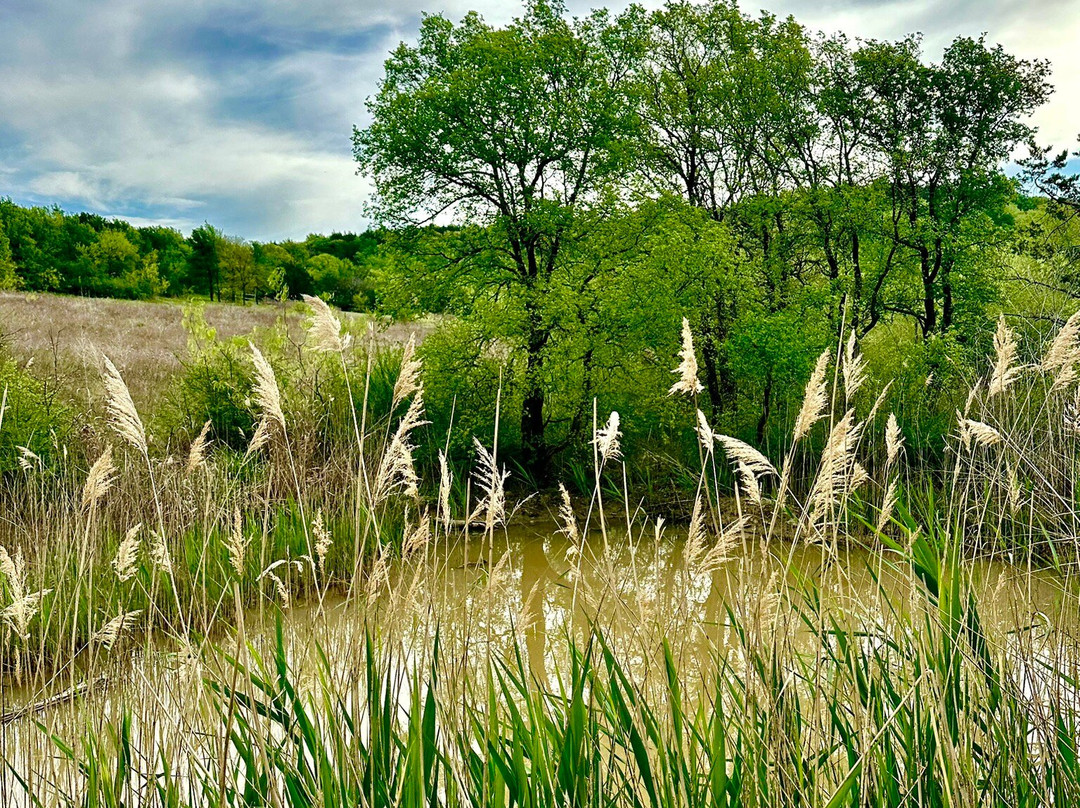 Cedar Ridge Preserve managed by Audubon Dallas.-达拉斯必去景点