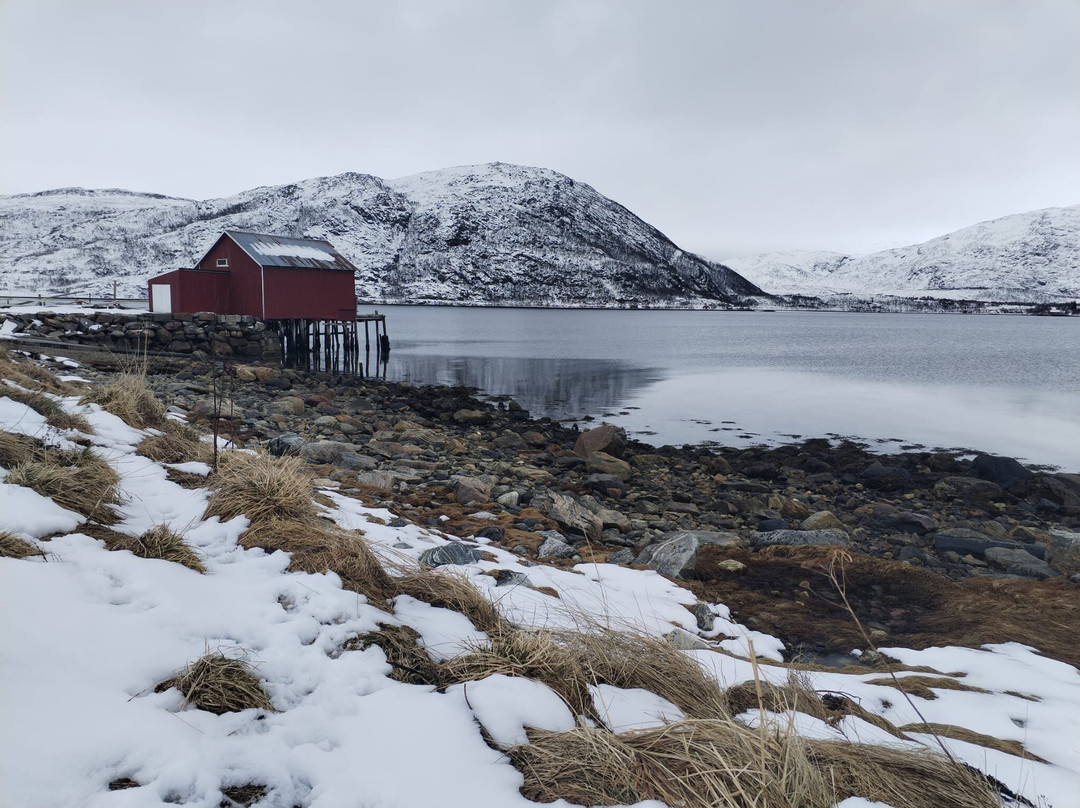 特罗姆瑟峡湾-特罗姆瑟必去景点