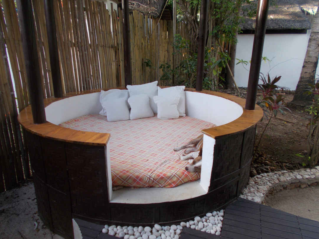 优斯托里瑞索特主图