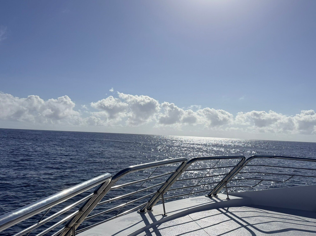 Lady Musgrave Experience - Reef Tours-Burnett Heads必去景点