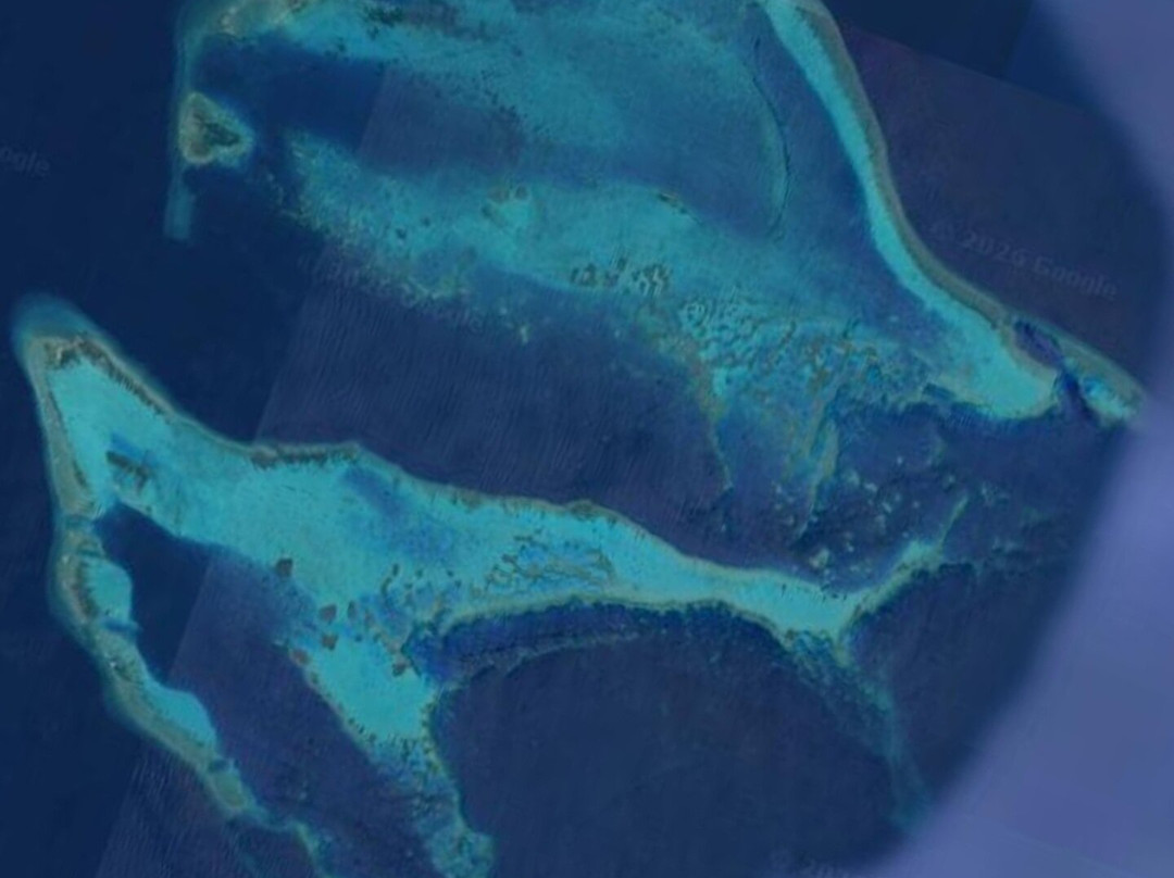 Apo Reef Natural Park-Sablayan必去景点