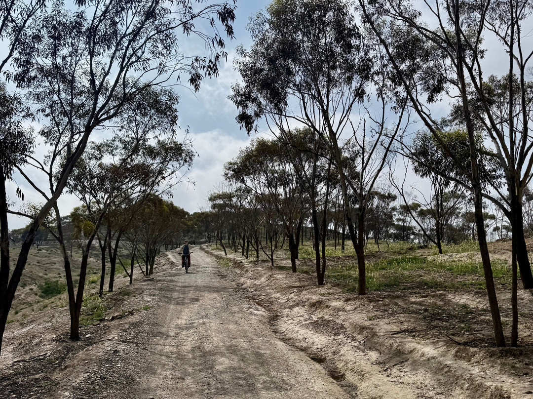 Fly Me To The Moon-Agafay必去景点