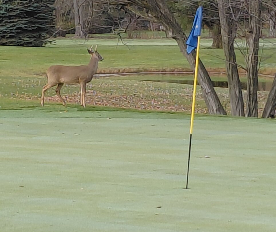 The Timbers Golf Club-Tuscola必去景点