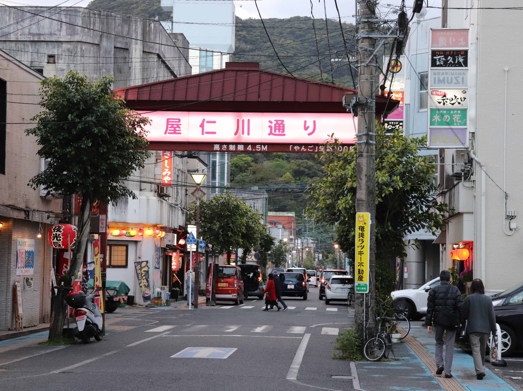 Yanigawa Shopping Street-奄美市必去景点