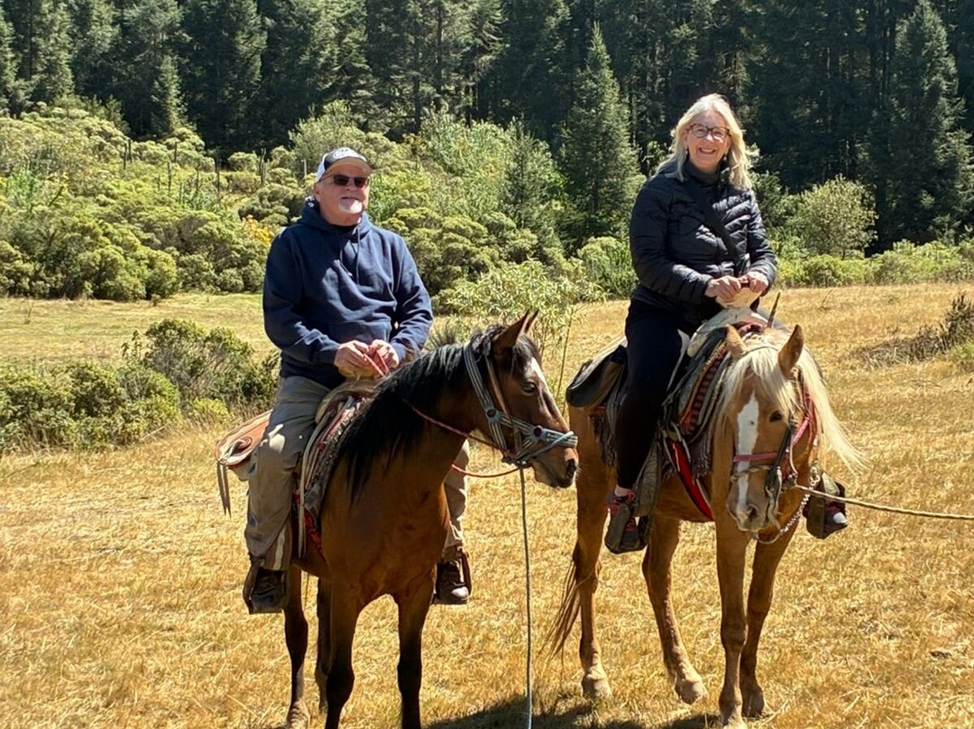 Kay Tours Mexico-普拉亚德尔卡曼必去景点