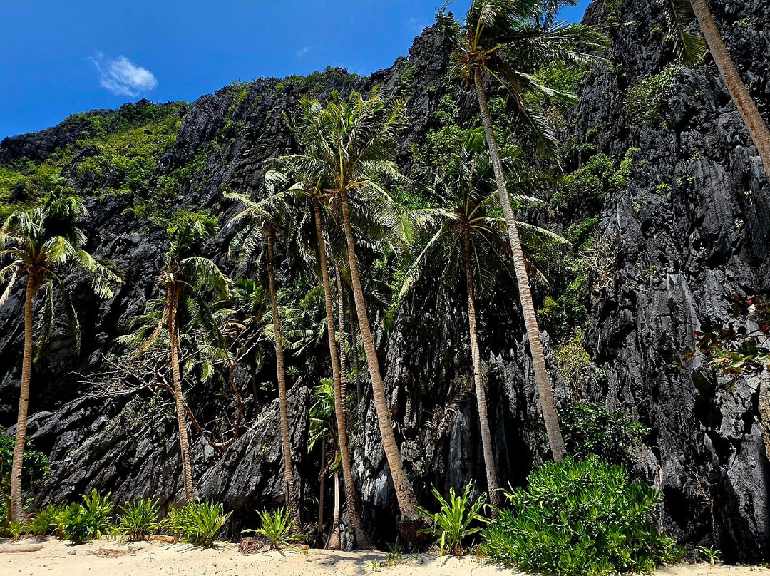 Tropical Experience Travel Services-马尼拉必去景点