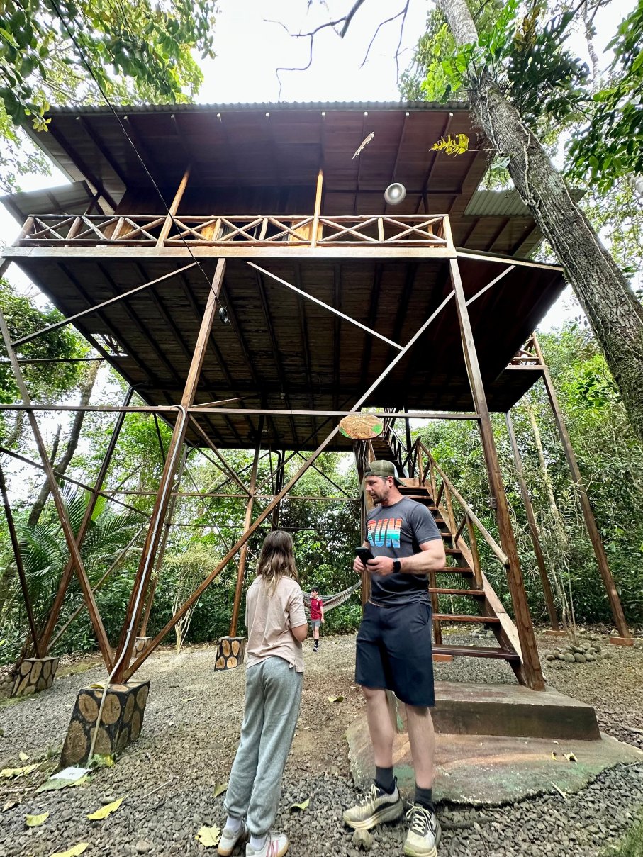 哥斯达黎加树屋酒店-官方