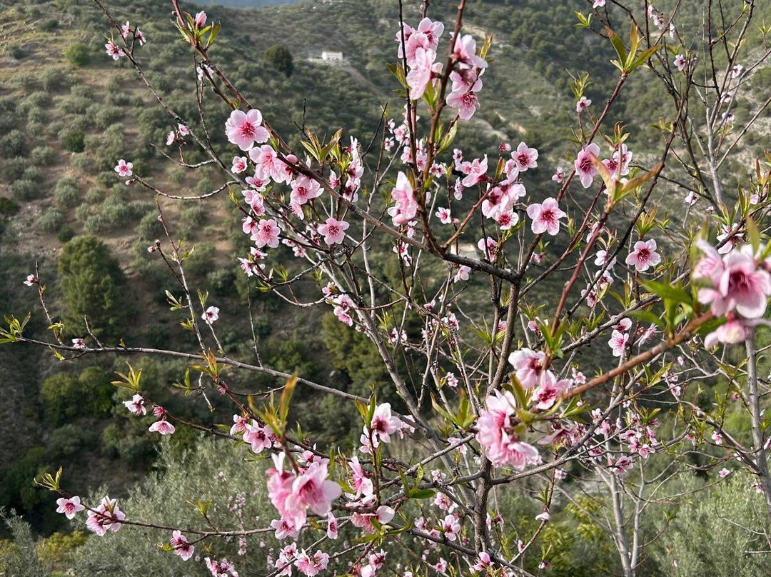 Finca Floretta主图