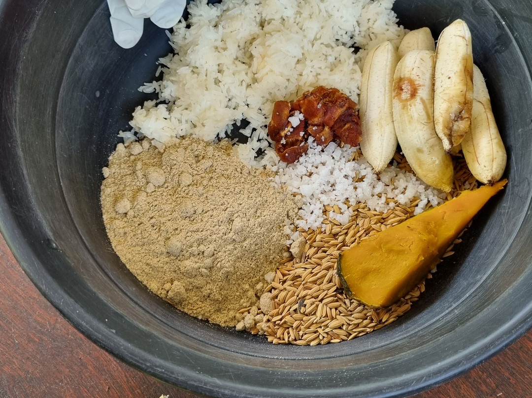 Phuket Elephant Care-奈通必去景点