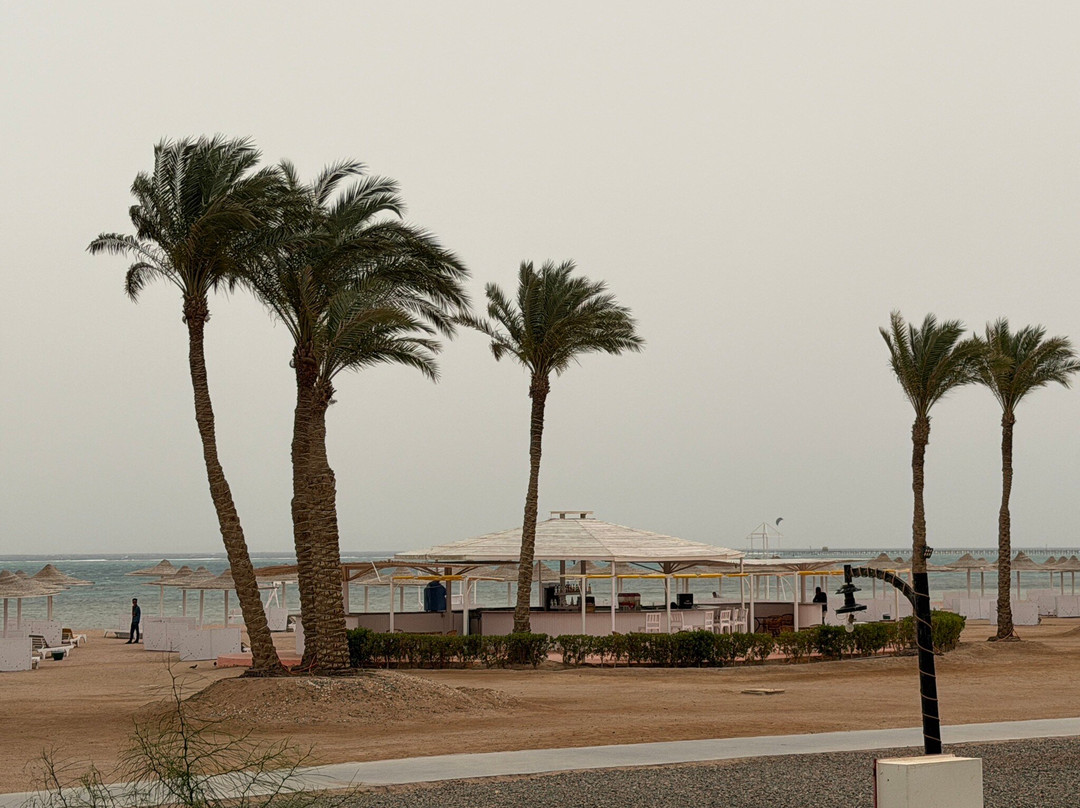 Kite Addicts Sharm-纳布克湾必去景点