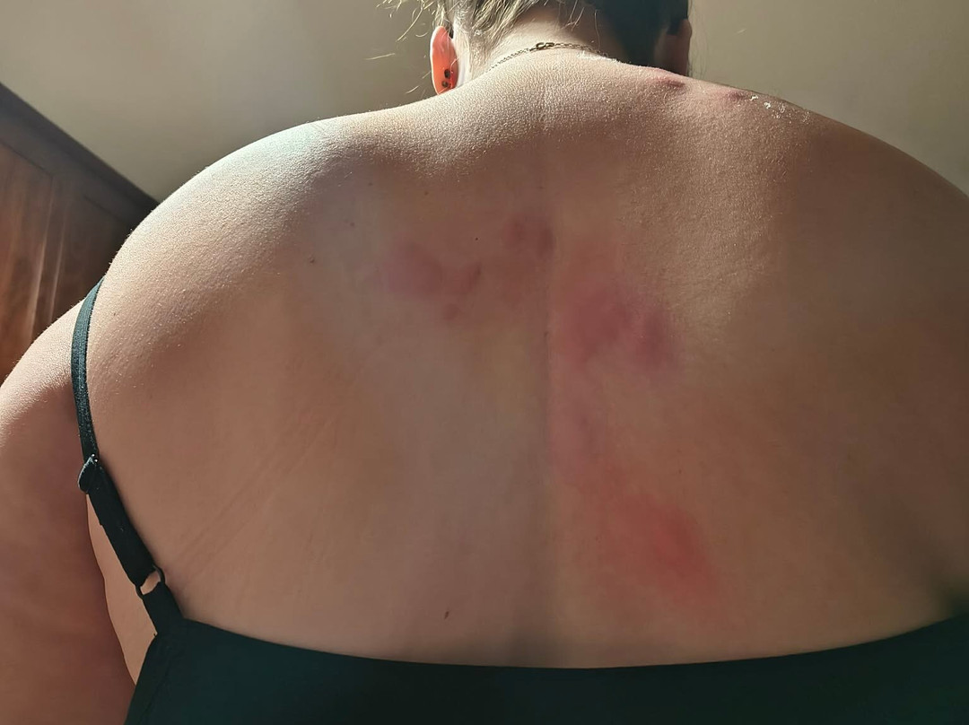 格伦伍德温德姆速 8 酒店主图