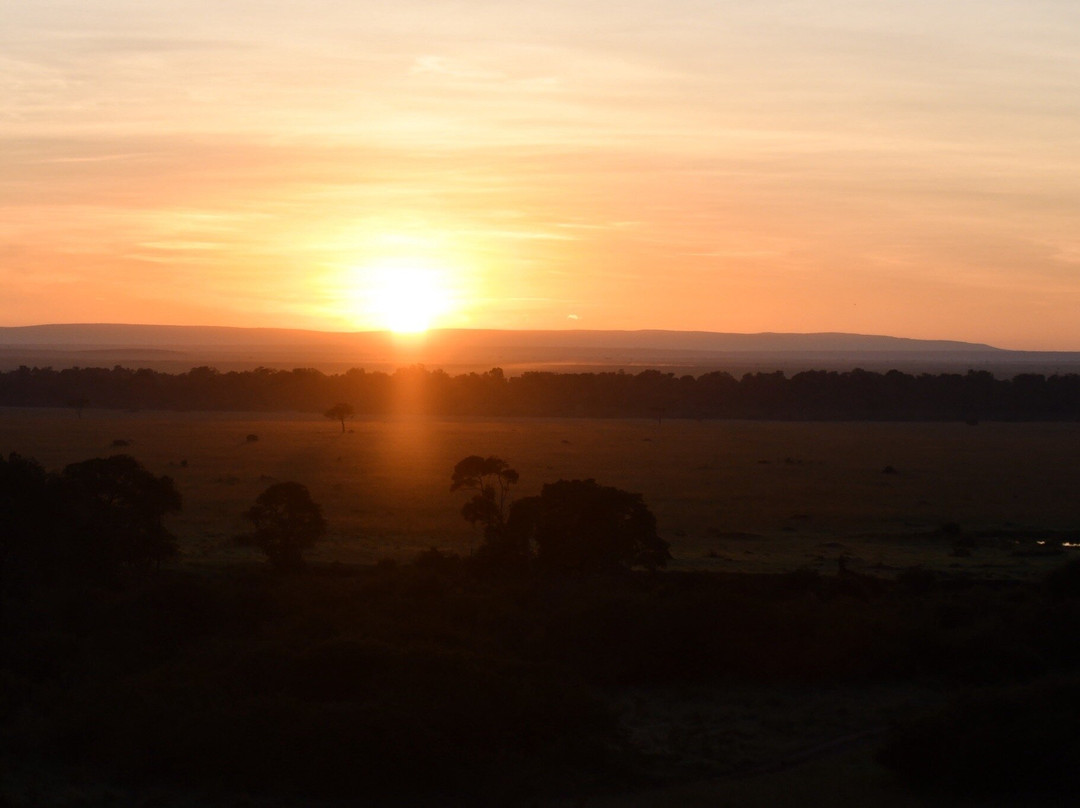 Skyship Co. Balloon Safaris-马赛马拉国家野生动物保护区必去景点