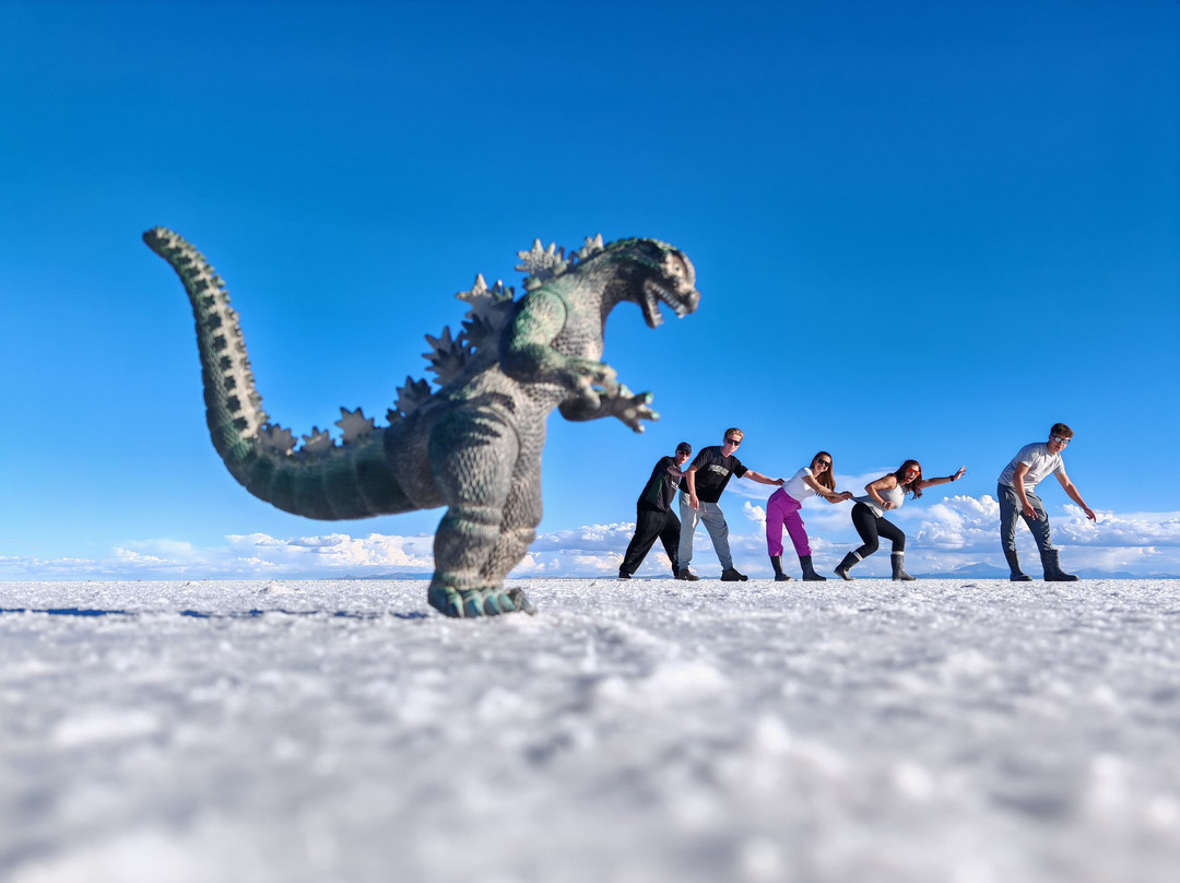 Expediciones Árbol de Piedra-乌尤尼必去景点