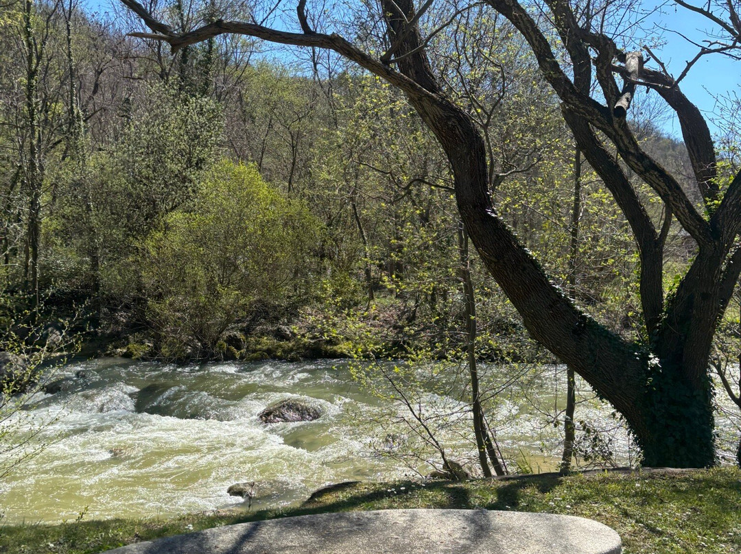 Parco Fluviale delle Acquevive-Taranta Peligna必去景点