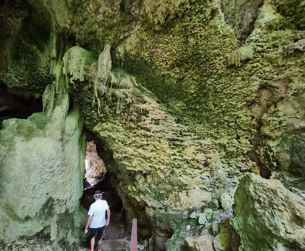 Niue OrientationTour-阿洛菲必去景点