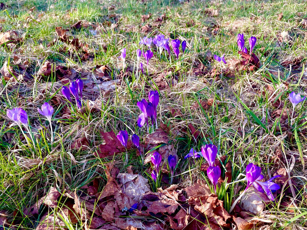 Glen Tanar National Nature Reserve-Aboyne必去景点