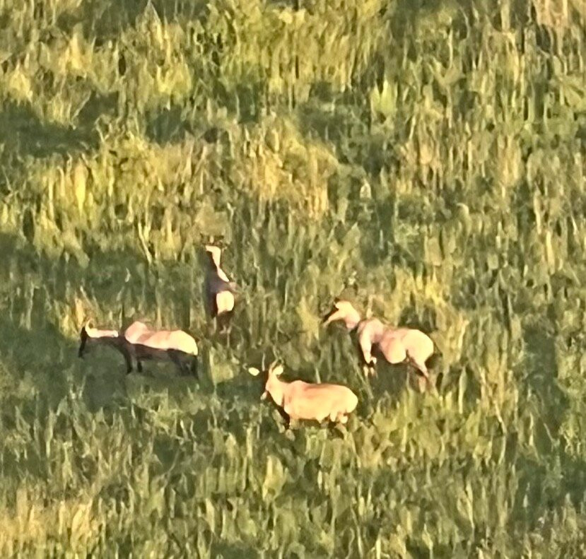 Nyssa Balloon Safaris-Seronera必去景点