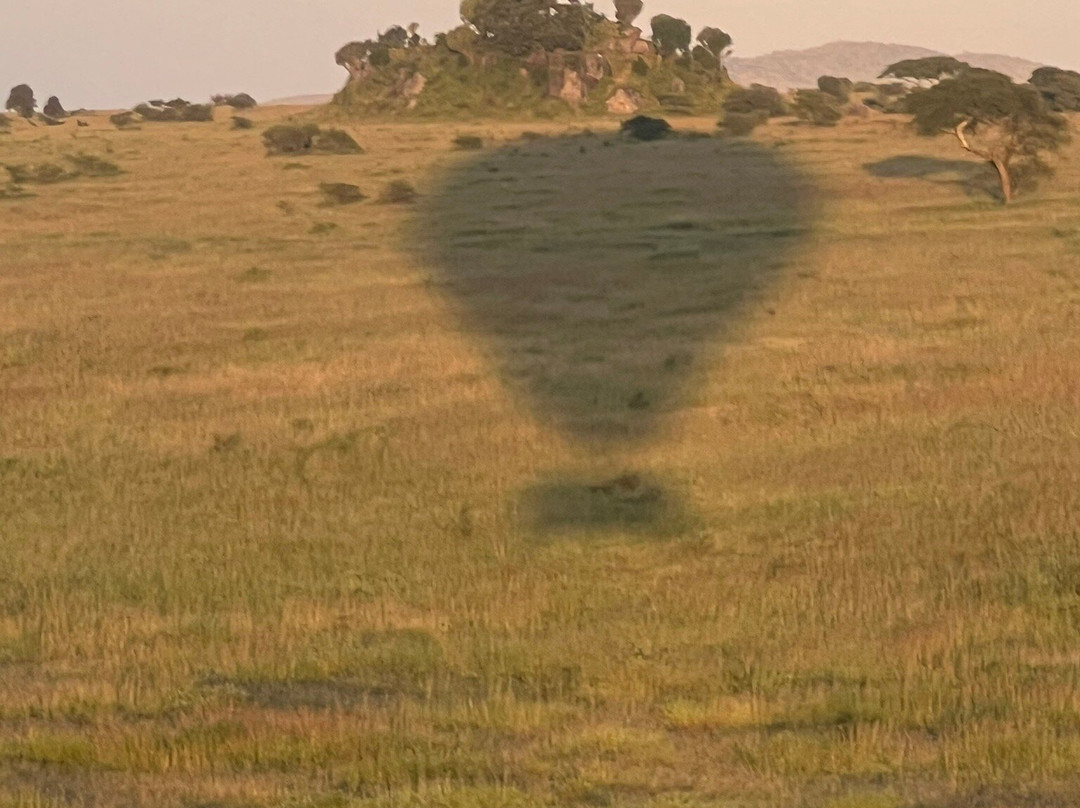 Nyssa Balloon Safaris-Seronera必去景点