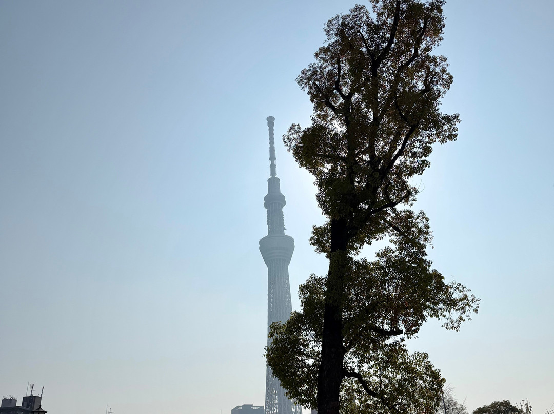 隅田公园-Mukou-jima必去景点