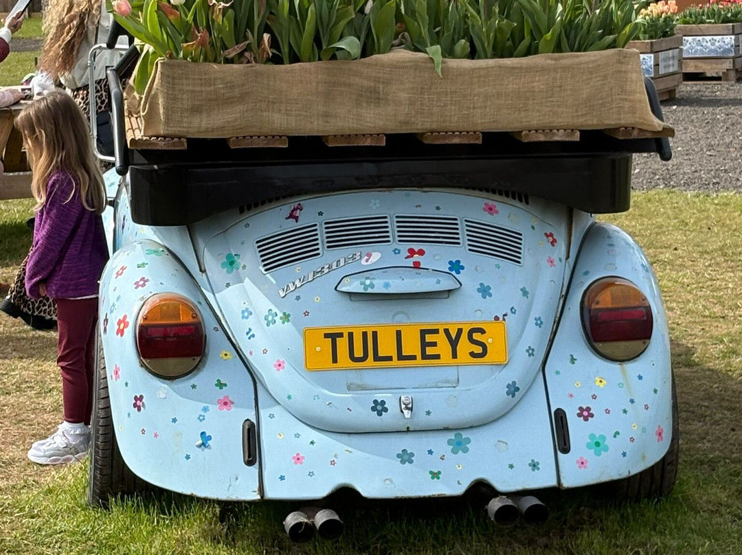 Tulleys Tulip Garden - Warwickshire-沃里克必去景点