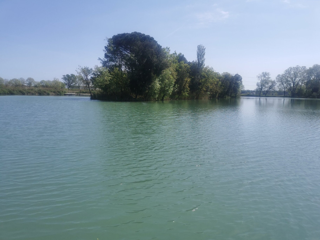 Oasi Naturale di Torre Abate-Mesola必去景点