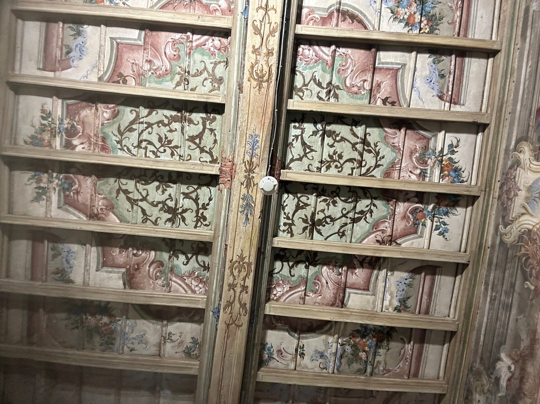 Museo di Storia Naturale Faraggiana Ferrandi-诺瓦拉必去景点