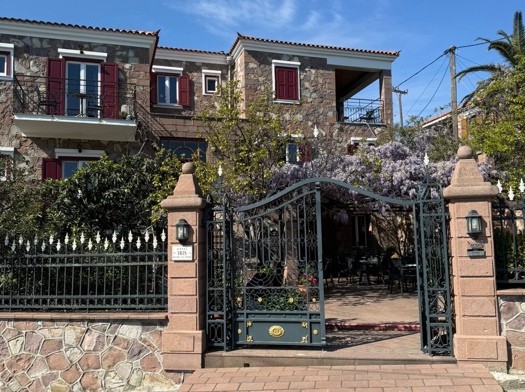 Iris Villa Hotel主图