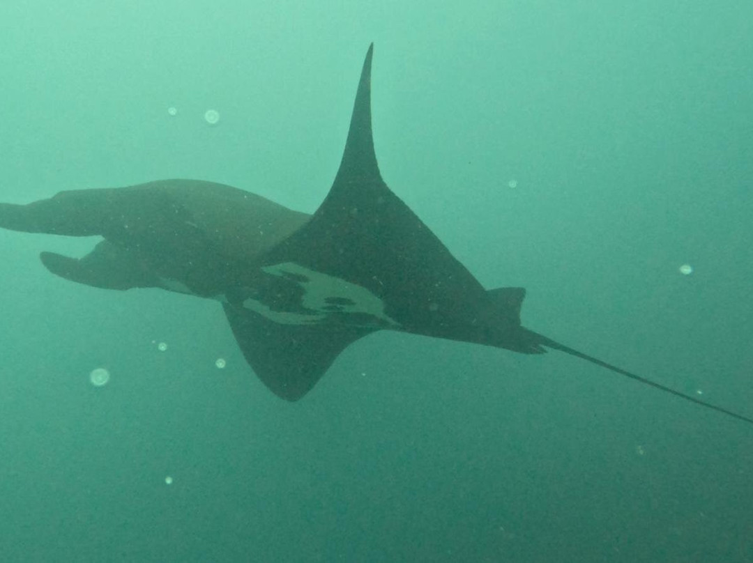 Costa Rica Adventure Divers-德雷克湾必去景点