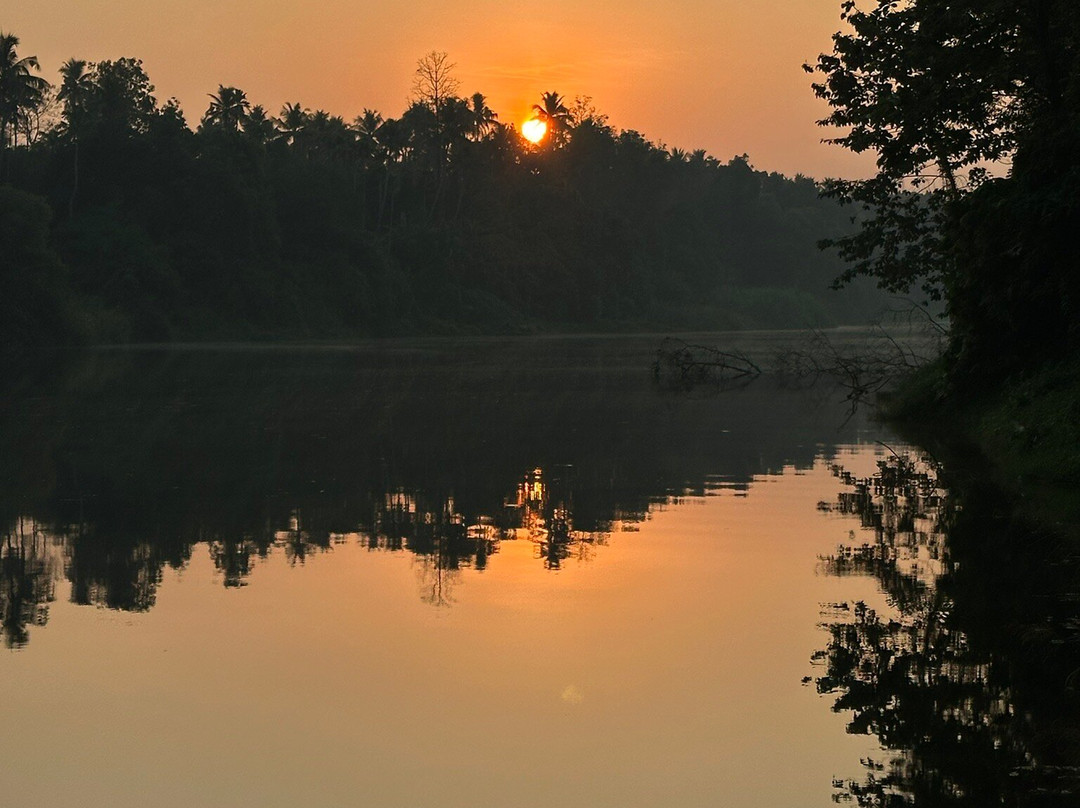 Softouch Ayurveda Village Kerala主图