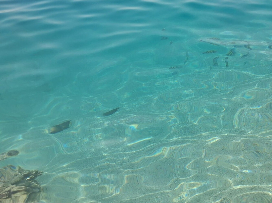 加利布港皮卡尔巴特罗斯绿洲酒店主图