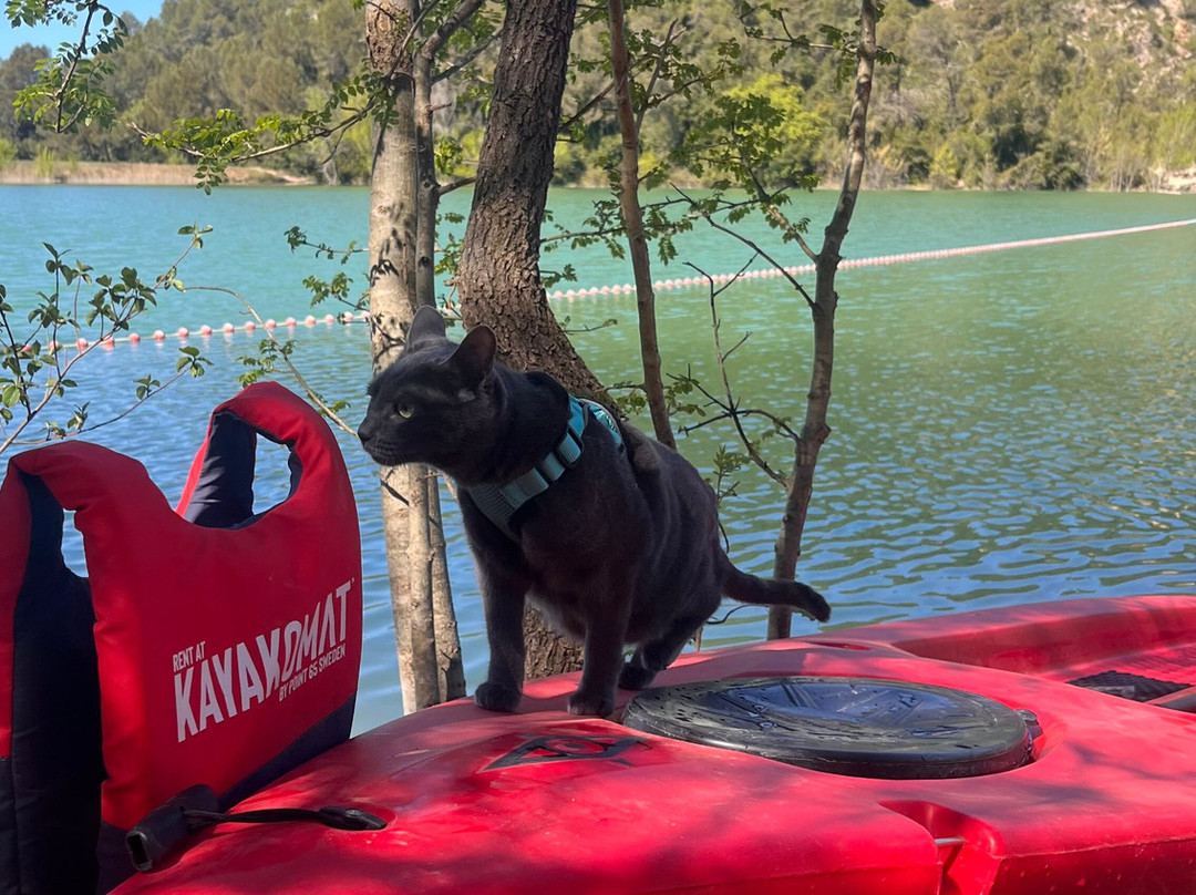 Kayak & Stand Up Paddle