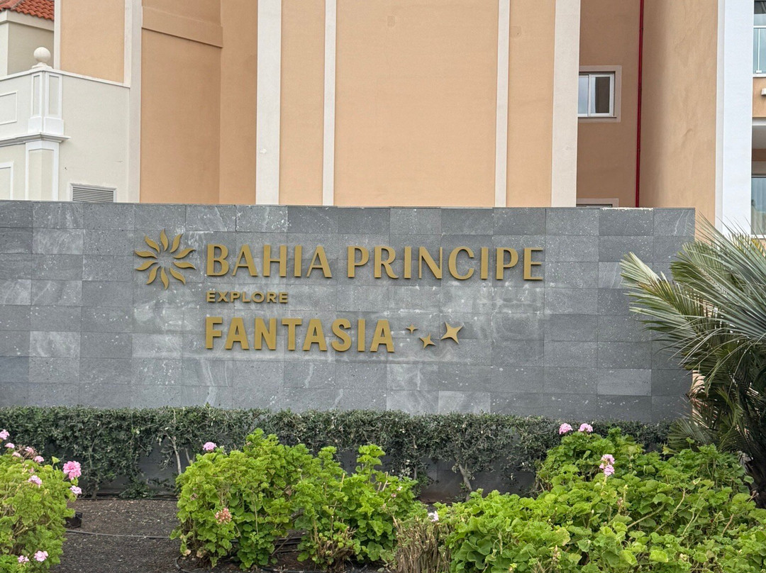 Bahia Principe Fantasia Tenerife主图