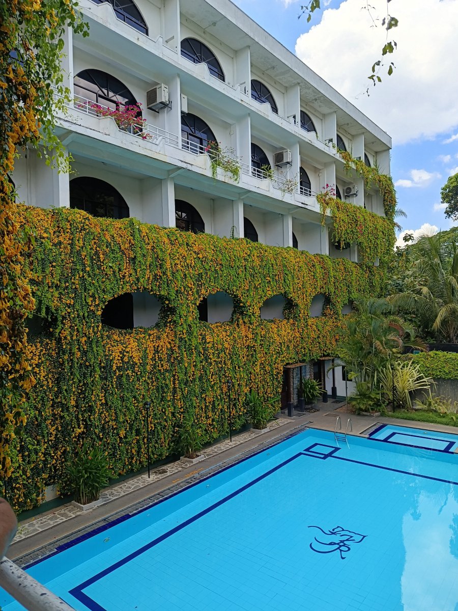 康登河段旅馆-旅行者