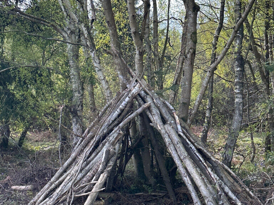 King's Wood-Challock必去景点