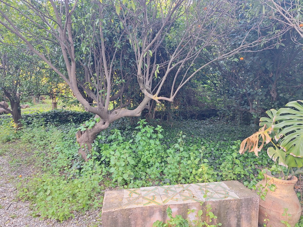 特里尼塔公寓酒店-旅行者