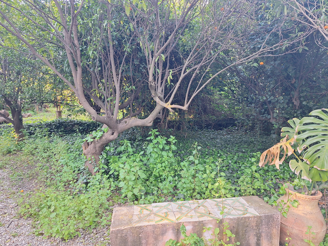 特里尼塔公寓酒店主图