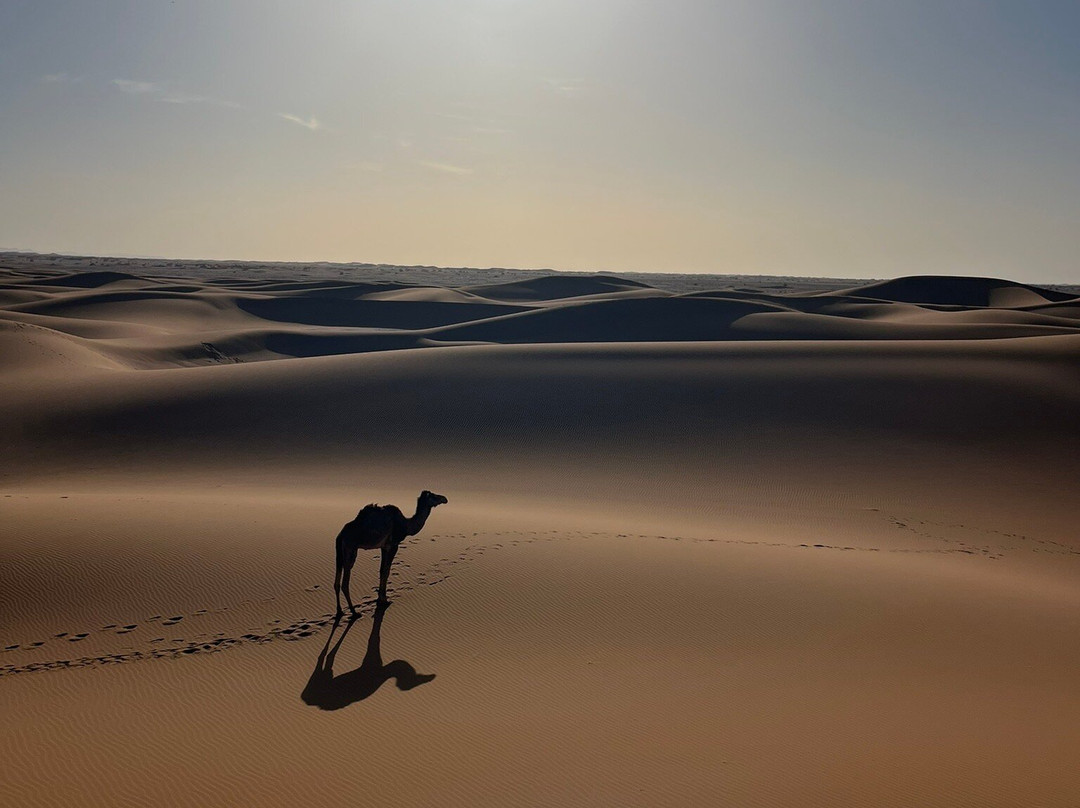 My Sahara Trek-迈哈米德必去景点