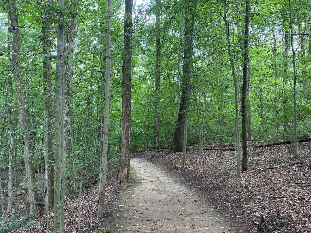 F.A. Seiberling Nature Realm-阿克伦必去景点