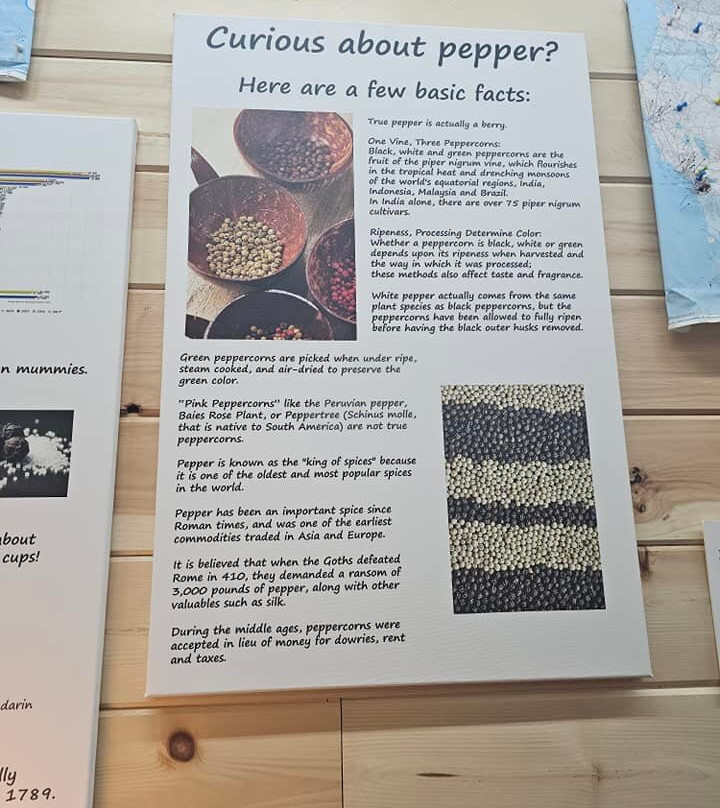 Salt And Pepper Shaker Museum-盖林柏格必去景点