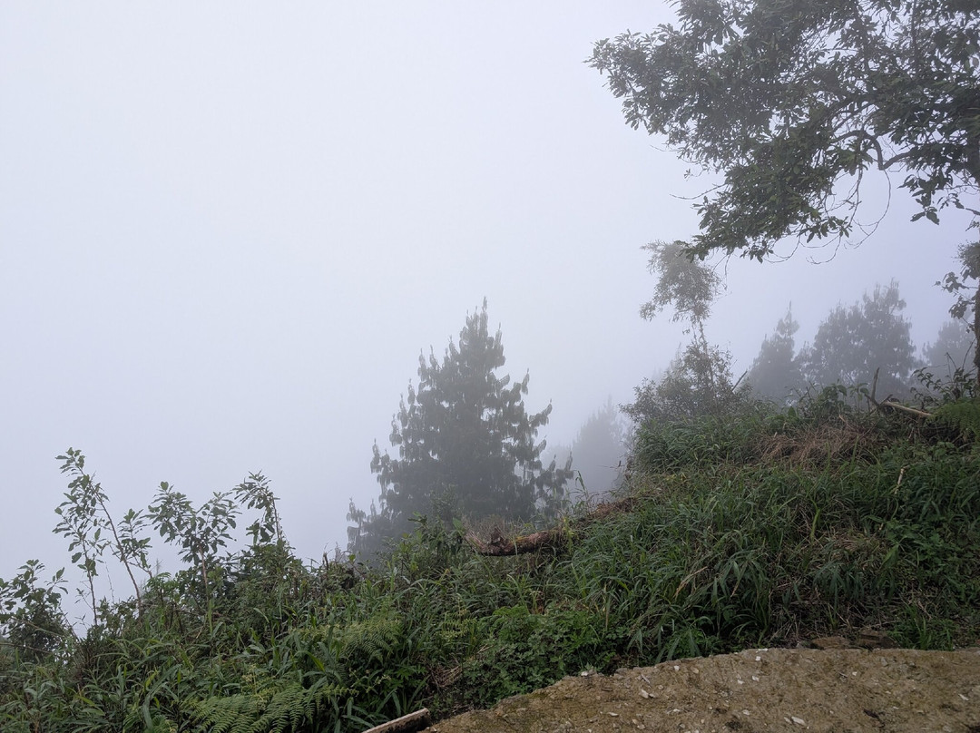 Chikanda Safaris & Adventure-Uyole必去景点