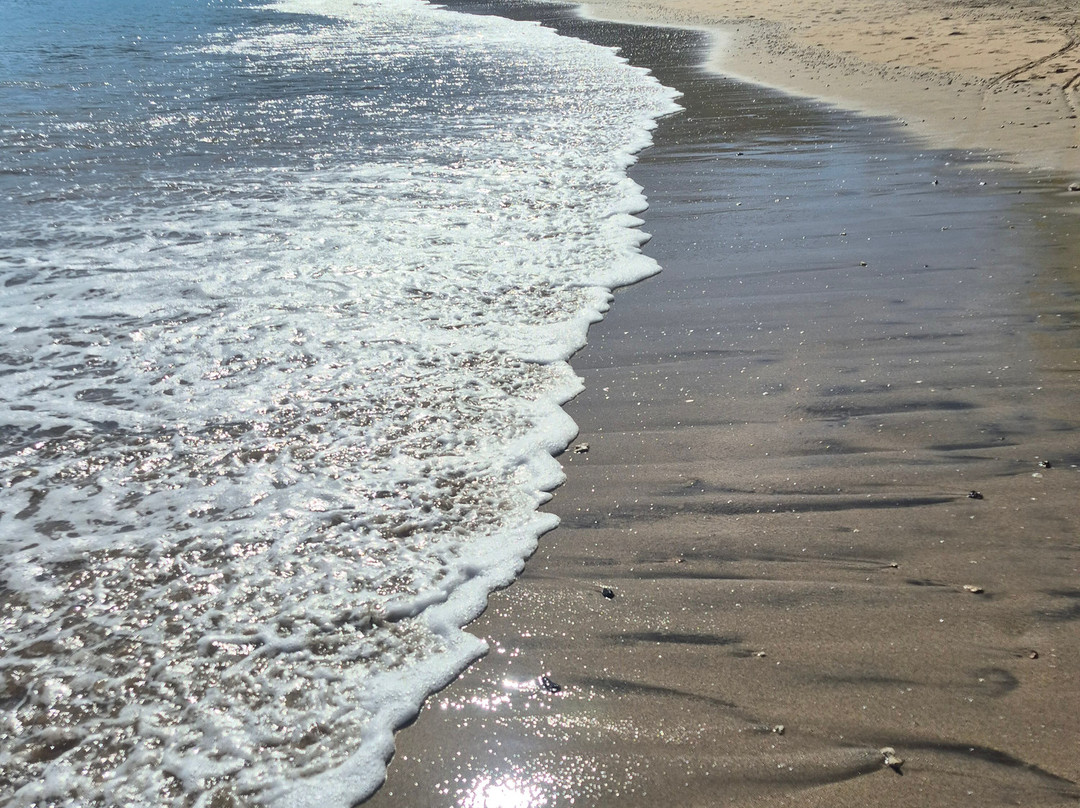 西帕帕加约酒店-限成人-全包主图