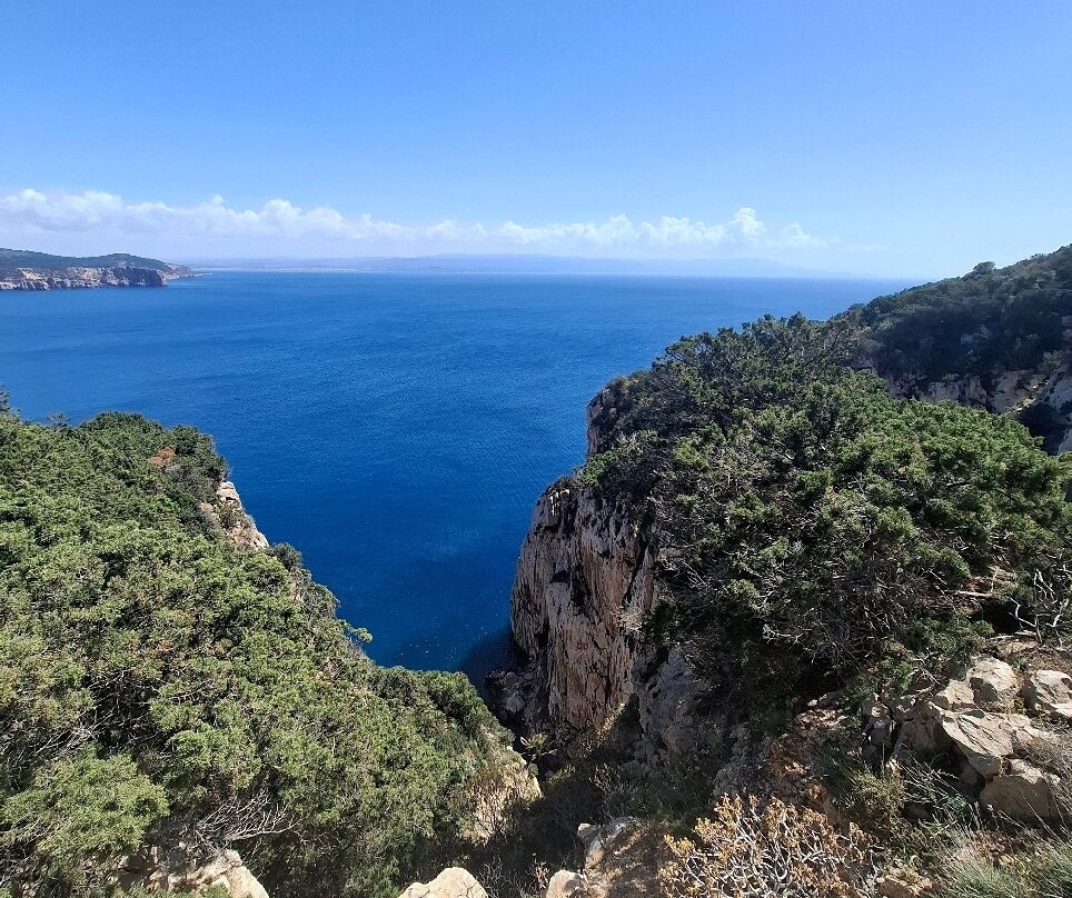 Frecce delle Grotte S.R.L-阿尔盖罗必去景点