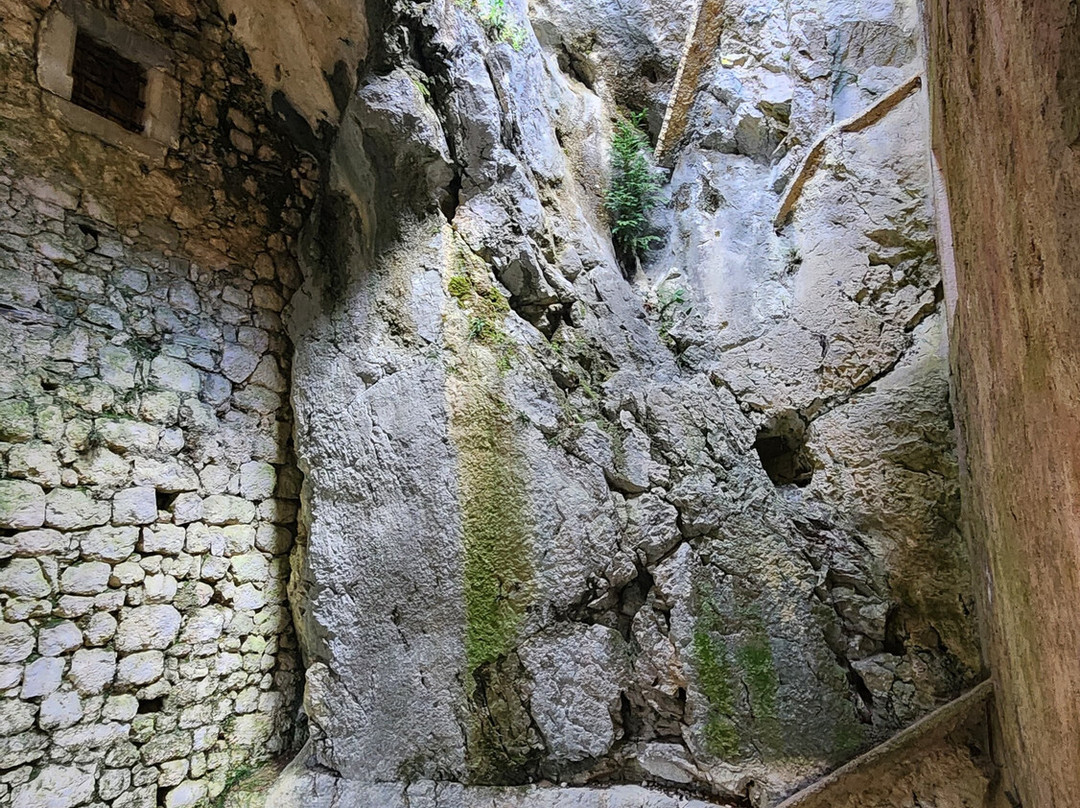 帕瑞德姆斯基城堡-波斯托伊纳必去景点