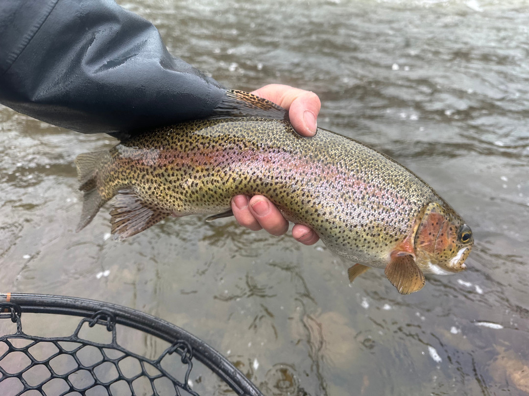 Colorado Angling Company-Wolcott必去景点
