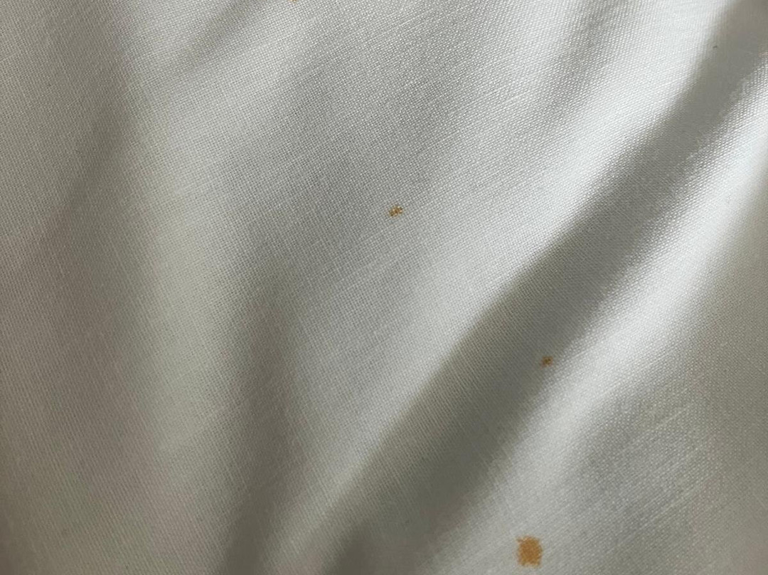 亚姆观景旅馆主图
