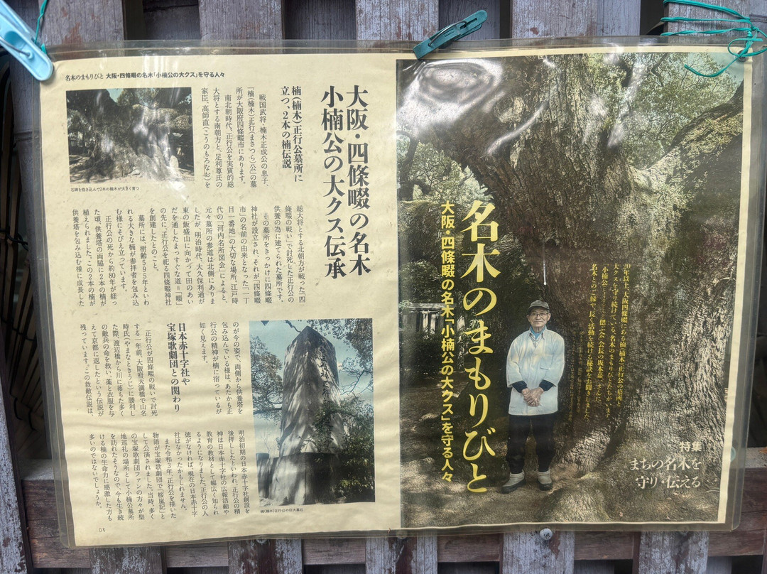 Shonanko Grave-四条畷市必去景点