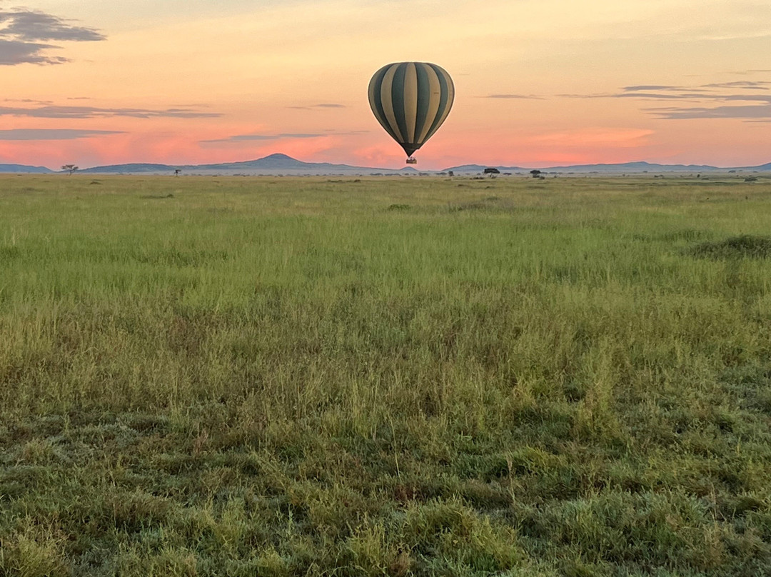 Serengeti Balloon Safaris-塞伦盖蒂国家公园必去景点