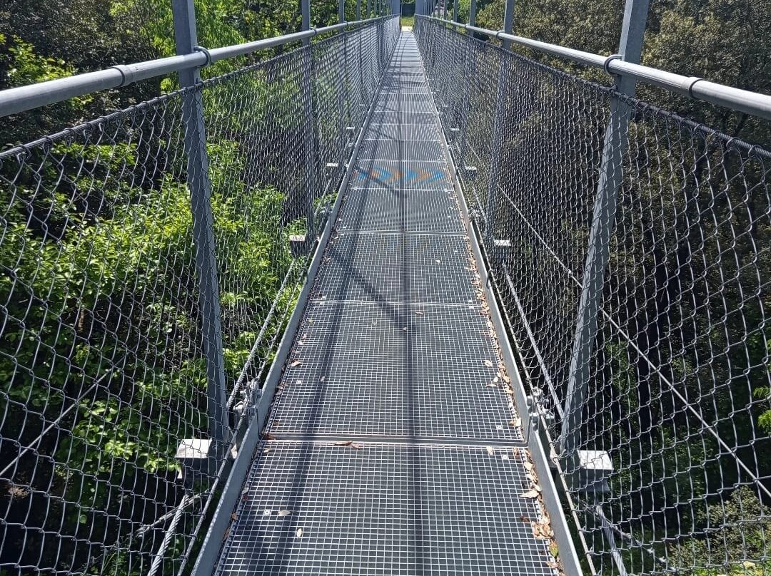 La Passerelle Himalayenne-Trans-en-Provence必去景点