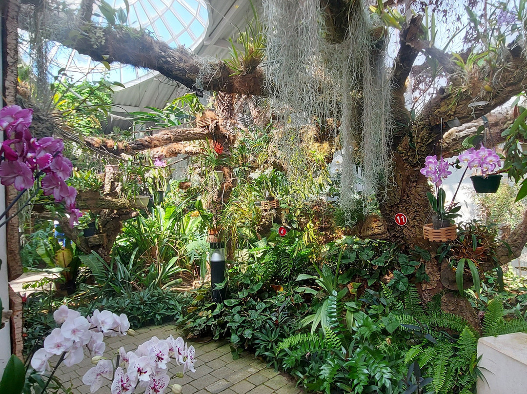 Orquidario de Estepona-埃斯特波纳必去景点