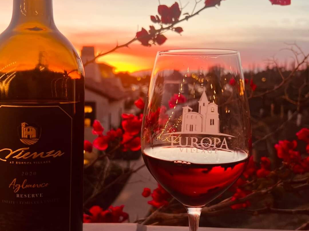 Europa Village Winery-特曼库拉必去景点